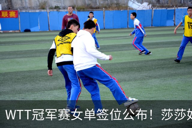 WTT冠军赛女单签位公布！莎莎好签，曼昱陈熠扎堆，蒯曼或战张本